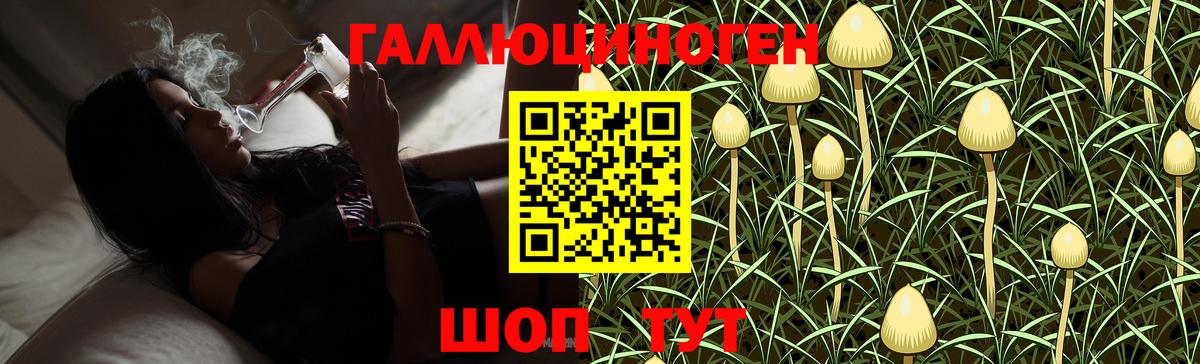 Псилоцибиновые грибы MAGIC MUSHROOMS Великий Устюг