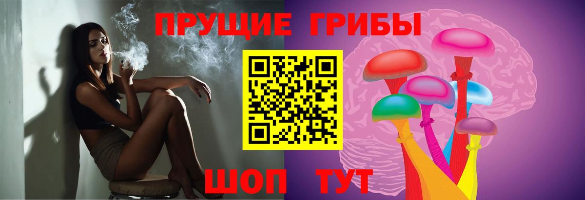 Великий Устюг  Псилоцибиновые грибы MAGIC MUSHROOMS  Вход с VPN 